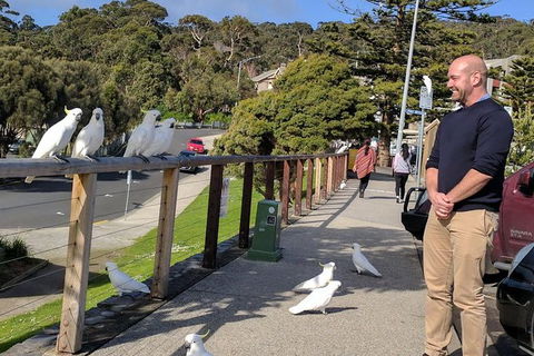 Private Full-Day Great Ocean Road Tour With Helicopter Ride - Northern Rivers Accommodation 5