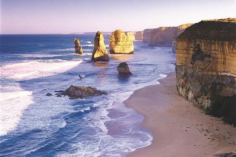 Melbourne Combo: Great Ocean Road, Puffing Billy, Moonlit Sanctuary & Penguins - Northern Rivers Accommodation 1