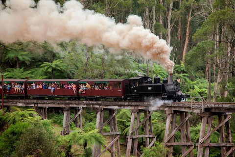 Melbourne Combo: Great Ocean Road, Puffing Billy, Moonlit Sanctuary & Penguins - Northern Rivers Accommodation 0