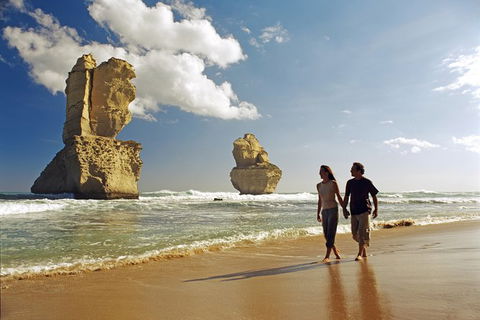 Melbourne Combo: Great Ocean Road, Puffing Billy, Moonlit Sanctuary & Penguins - Northern Rivers Accommodation 8