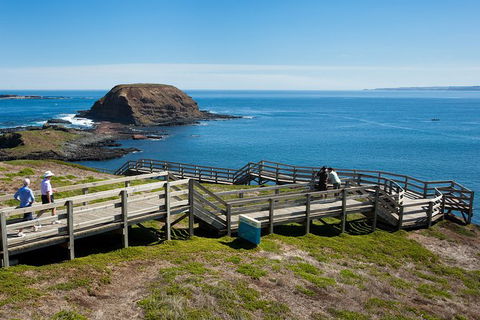 Melbourne Combo: Great Ocean Road, Puffing Billy, Moonlit Sanctuary & Penguins - Northern Rivers Accommodation 3