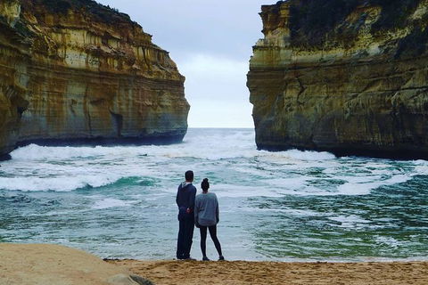 Melbourne Combo: Great Ocean Road, Puffing Billy, Moonlit Sanctuary & Penguins - Northern Rivers Accommodation 6