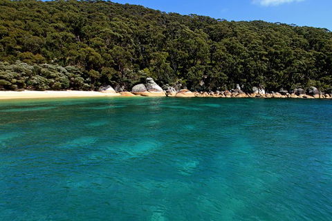 Wilsons Promontory Full Day Cruise - Northern Rivers Accommodation 5
