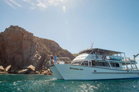 Wilsons Promontory Full Day Cruise - Northern Rivers Accommodation 4