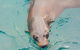 Wilsons Promontory Full Day Cruise - thumb 6