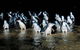 Private Phillip Island Penguin Parade Tour - thumb 0