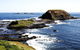 Private Phillip Island Penguin Parade Tour - thumb 3