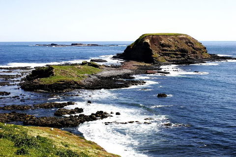 Private Phillip Island Penguin Parade Tour - Northern Rivers Accommodation 3