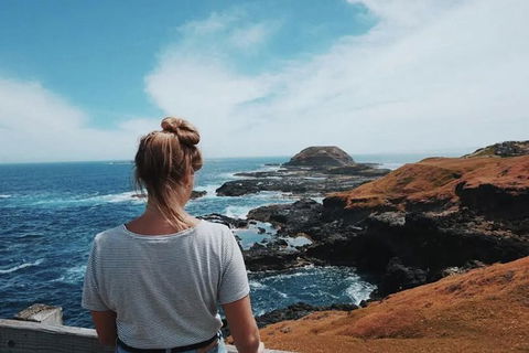 Small Group - Phillip Island Hike & Penguin Parade Day Tour From Melbourne - Northern Rivers Accommodation 3