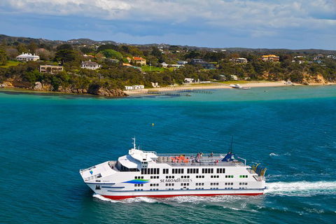 Great Ocean Road Reverse Itinerary And Phillip Island 2 Day Wildlife Encounter - Northern Rivers Accommodation 15