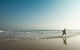 Great Ocean Road Reverse Itinerary And Phillip Island 2 Day Wildlife Encounter - thumb 3