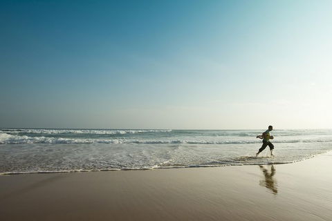 Great Ocean Road Reverse Itinerary And Phillip Island 2 Day Wildlife Encounter - Northern Rivers Accommodation 3