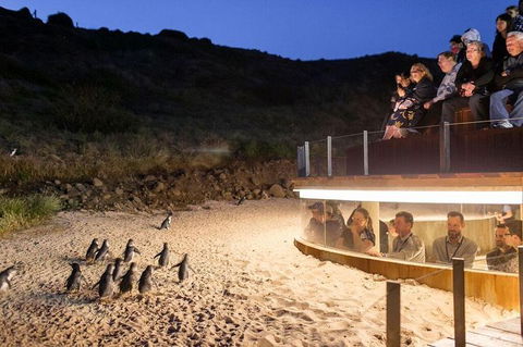 Great Ocean Road Reverse Itinerary And Phillip Island 2 Day Wildlife Encounter - Northern Rivers Accommodation 9