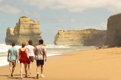 Great Ocean Road Reverse Itinerary And Phillip Island 2 Day Wildlife Encounter - Northern Rivers Accommodation 4