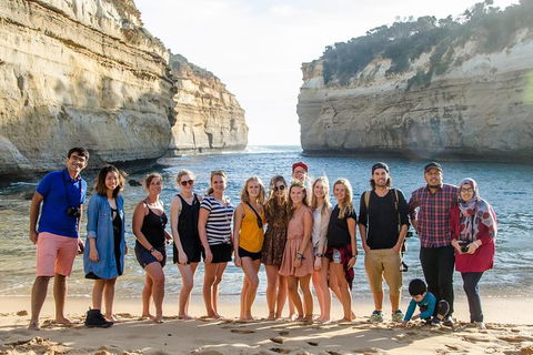 Great Ocean Road Reverse Itinerary And Phillip Island 2 Day Wildlife Encounter - Northern Rivers Accommodation 8