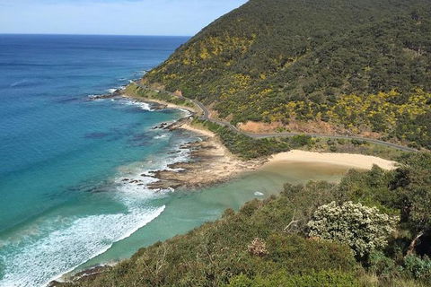 Great Ocean Road Reverse Itinerary And Phillip Island 2 Day Wildlife Encounter - Northern Rivers Accommodation 5