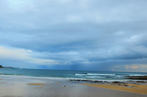 Phillip Island Penguin Parade Day Trip With Koala Park - Northern Rivers Accommodation 3