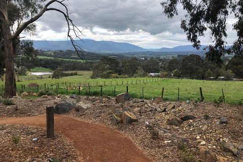 Small Public Yarra Valley Scenic Tour Inc 2 Course Lunch, Wine, Cheese - Northern Rivers Accommodation 1