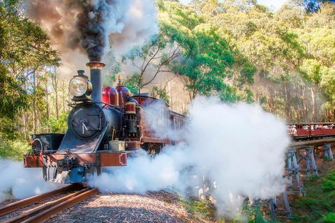 Puffing Billy And Mount Dandenong Private Tour - Northern Rivers Accommodation 0