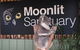 Private Melbourne City And Phillip Island Tours - thumb 6