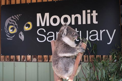 Private Melbourne City And Phillip Island Tours - Northern Rivers Accommodation 6