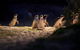 Private Melbourne City And Phillip Island Tours - thumb 4