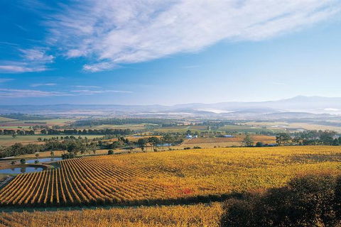 Melbourne City Tour And Half Day Yarra Valley In One Day - Northern Rivers Accommodation 5
