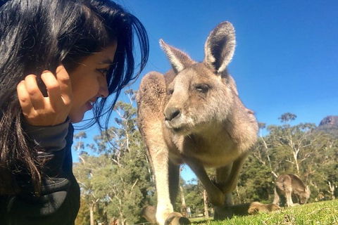 Grampians National Park Day Trip From Melbourne - Northern Rivers Accommodation 1