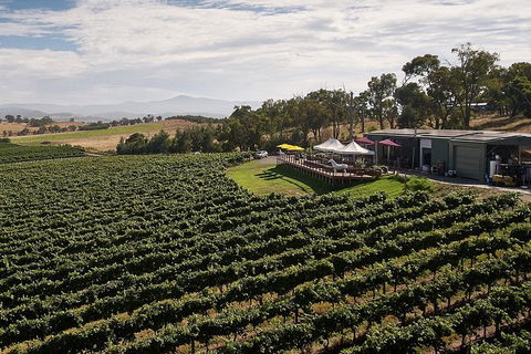Private Tour: Yarra Valley Wineries With Wine Tastings - Northern Rivers Accommodation 9
