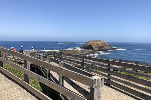 Day Tour Of Phillip Island Nature Parks & Penguins - Northern Rivers Accommodation 9
