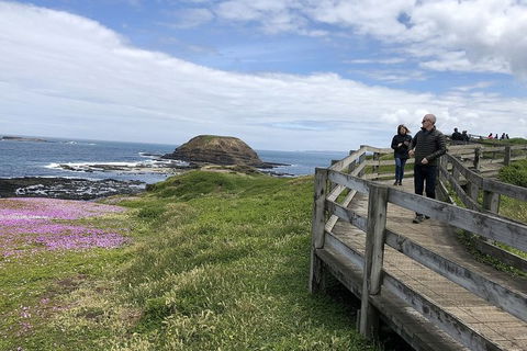 Day Tour Of Phillip Island Nature Parks & Penguins - Northern Rivers Accommodation 10