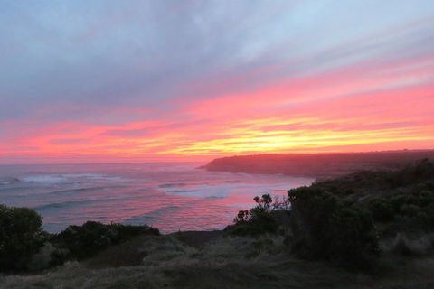 3-Day Small-Group Great Ocean Road And Australian Wildlife Tour From Melbourne - Northern Rivers Accommodation 6