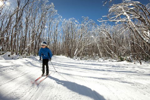 Lake Mountain Snow Trip Including Yarra Valley Chocolaterie From Melbourne - Northern Rivers Accommodation 7