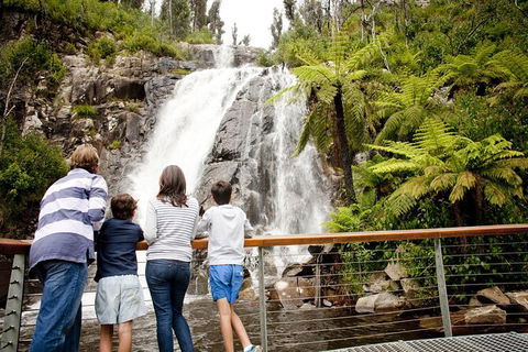 Lake Mountain Snow Trip Including Yarra Valley Chocolaterie From Melbourne - Northern Rivers Accommodation 8