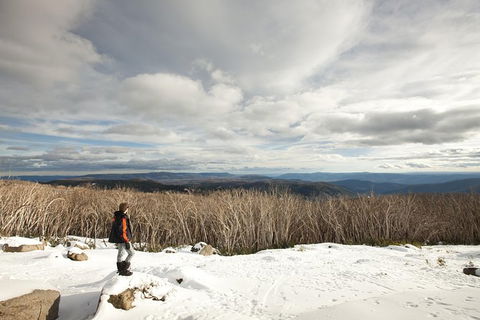 Lake Mountain Snow Trip Including Yarra Valley Chocolaterie From Melbourne - Northern Rivers Accommodation 5