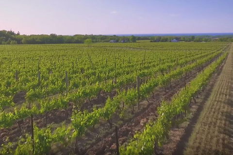 Macedon Ranges Small Group Wine Tour With 2 Course Lunch And Morning Tea - Northern Rivers Accommodation 1