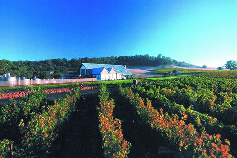 Macedon Ranges Small Group Wine Tour With 2 Course Lunch And Morning Tea - Northern Rivers Accommodation 4