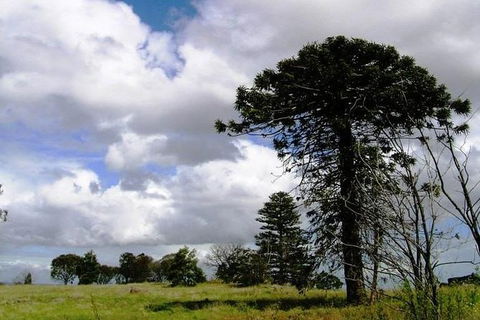 Walking Tours Of Woodlands Historic Park - Northern Rivers Accommodation 0