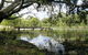 Walking Tours Of Woodlands Historic Park - thumb 1