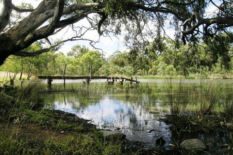 Walking Tours Of Woodlands Historic Park - Northern Rivers Accommodation 1