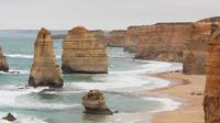 Private Combo Melbourne And Great Ocean Road Tours - Northern Rivers Accommodation 1