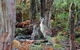 Private Combo Melbourne And Great Ocean Road Tours - thumb 5
