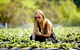 Mornington Peninsula Winery Tours With Cheese, Chocolate Tastings From Melbourne - thumb 12