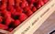 Mornington Peninsula Winery Tours With Cheese, Chocolate Tastings From Melbourne - thumb 7