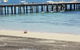 Mornington Peninsula Winery Tours With Cheese, Chocolate Tastings From Melbourne - thumb 11