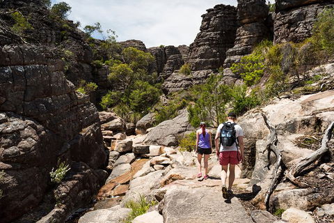 Grampians National Park With Kangaroos And MacKenzie Falls From Melbourne - Northern Rivers Accommodation 1