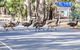 Grampians National Park With Kangaroos And MacKenzie Falls From Melbourne - thumb 7