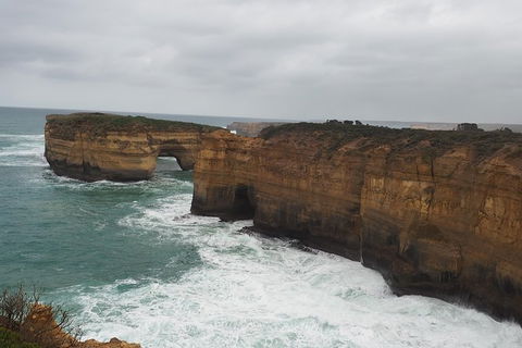 Great Ocean Road Private Day Tour - Northern Rivers Accommodation 5