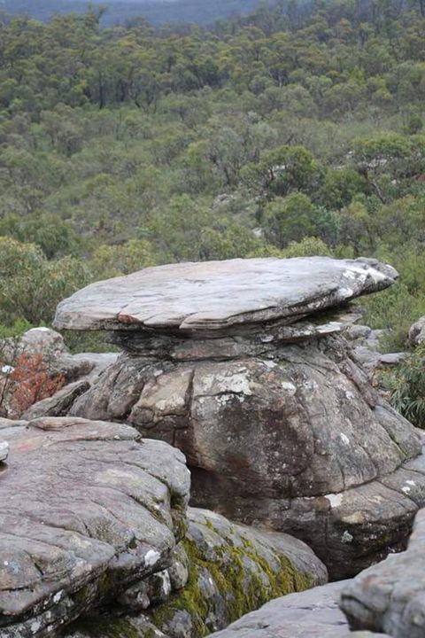Grampians National Park Small-Group Eco Tour From Melbourne - Northern Rivers Accommodation 12