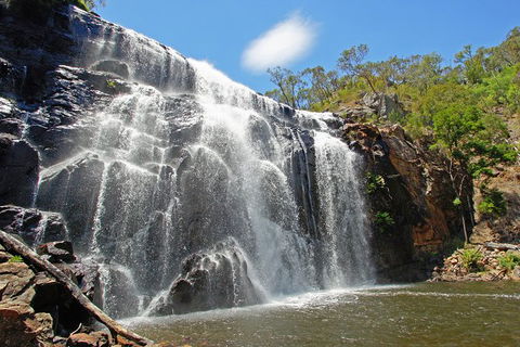 Grampians National Park Small-Group Eco Tour From Melbourne - Northern Rivers Accommodation 20